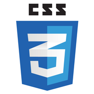 CSS Logo